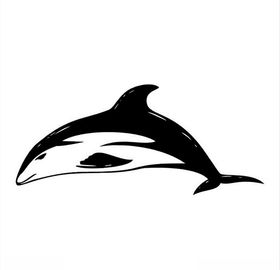 海豚CDR矢量图