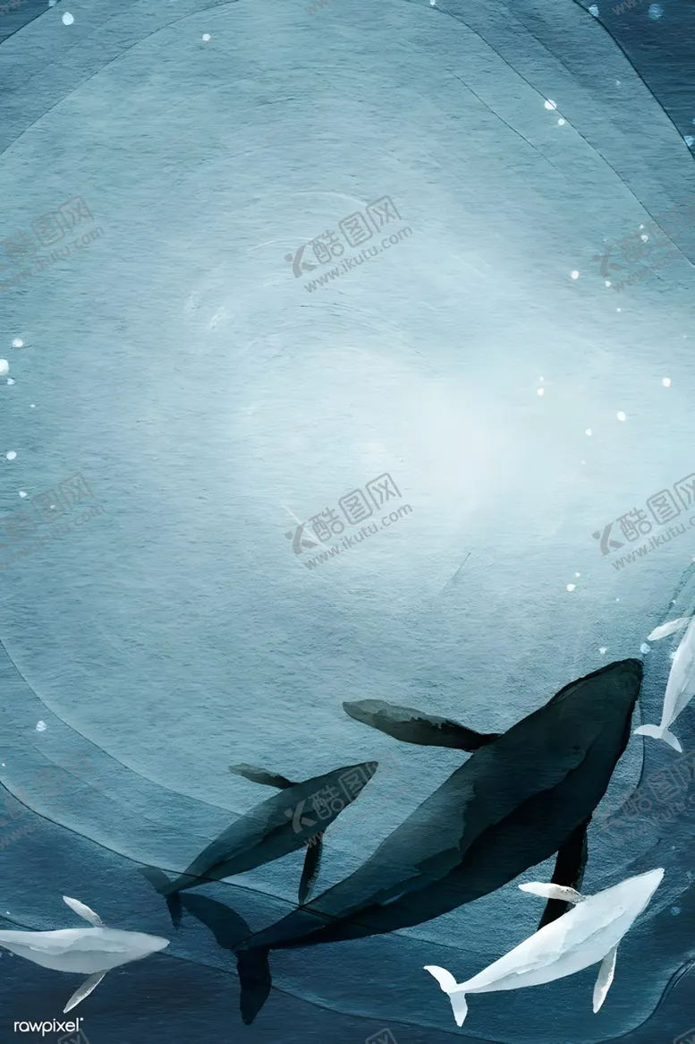 编号：69950601190657091206【酷图网】源文件下载-海底鲸鱼