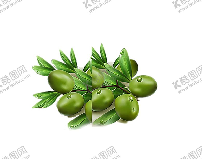 编号：88716909251422321604【酷图网】源文件下载-绿色相框