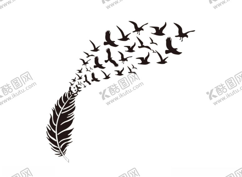 编号：24403010032337497057【酷图网】源文件下载-羽毛飞鸟羽毛与鸟