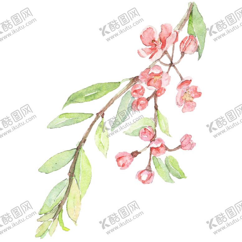 编号：81630604160905534776【酷图网】源文件下载-植物素材