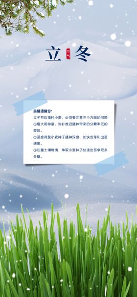 立冬海报大寒节气小寒至