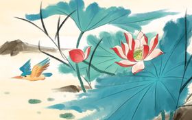荷花插画