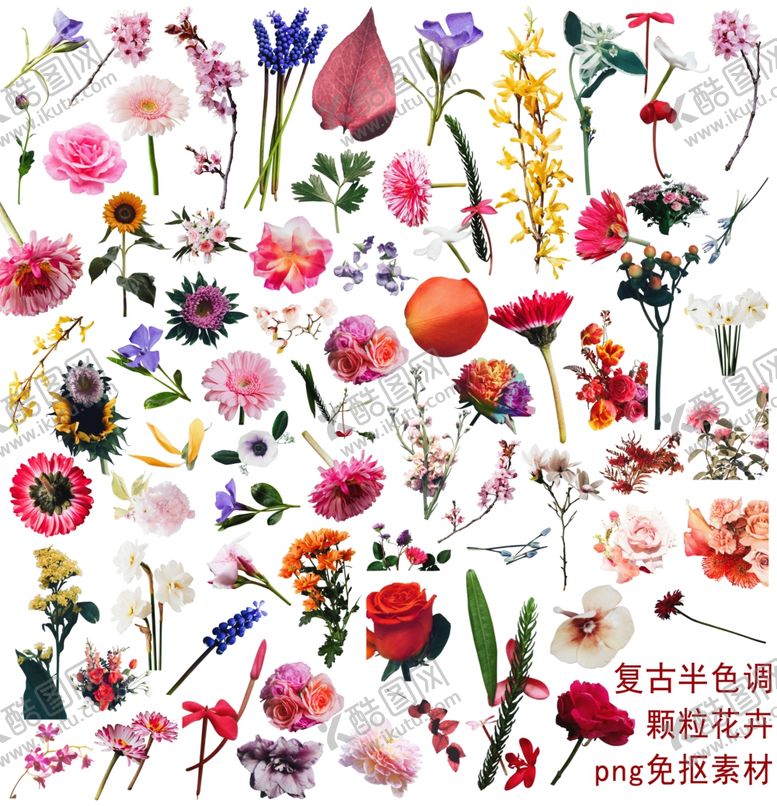 编号：61022911260840499337【酷图网】源文件下载-复古半色调颗粒花卉素