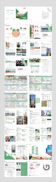 学校招生简章四折页DM单页