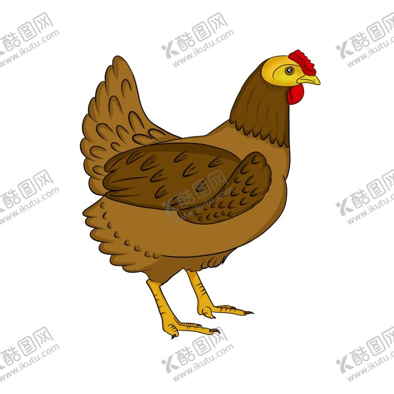 编号：63163309161134547063【酷图网】源文件下载-手绘母鸡