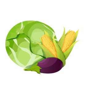 玉米图片