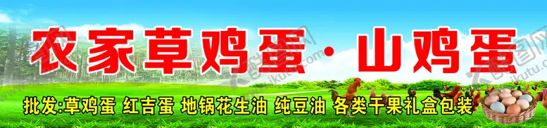 编号：54808811181943105805【酷图网】源文件下载-草鸡蛋