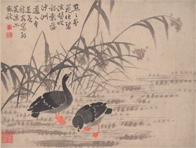 邮政雁雁IP