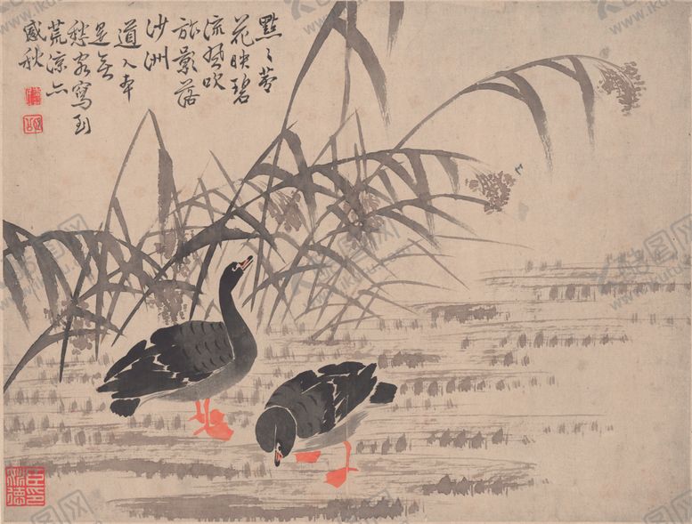 编号：33722007140906018157【酷图网】源文件下载-芦雁图