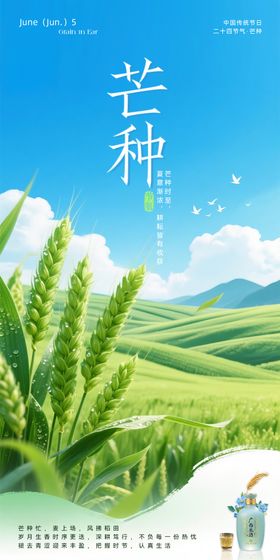 酒家芒种海报