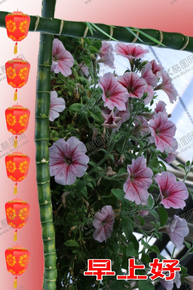 编号：53350809282117216495【酷图网】源文件下载-碧冬茄