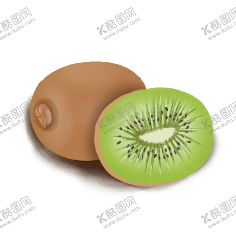 编号：20024202231755267560【酷图网】源文件下载-猕猴桃插画
