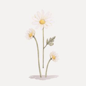 花纹手绘画手绘绿色植物