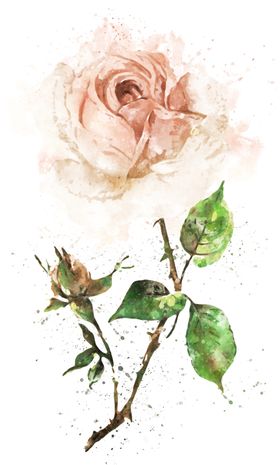 手绘花卉