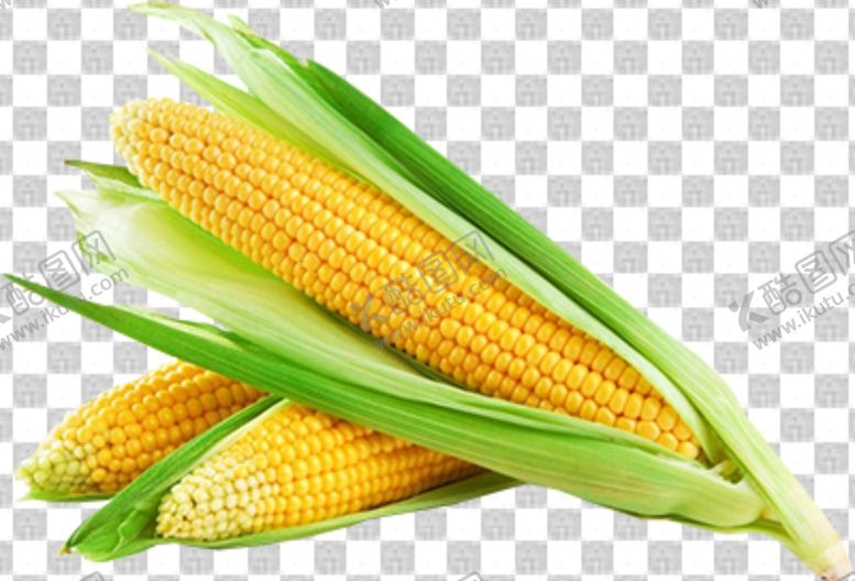 编号：79998910140615157342【酷图网】源文件下载-玉米