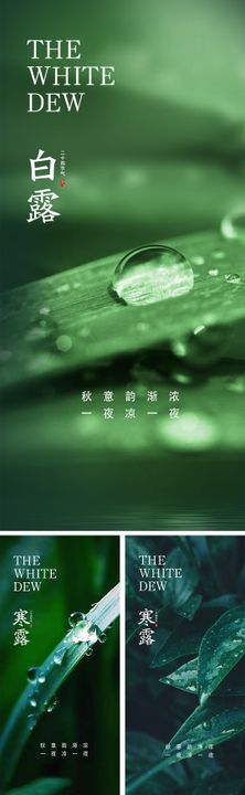 白露寒露海报