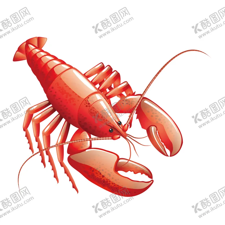编号：28645109151826051074【酷图网】源文件下载-虾