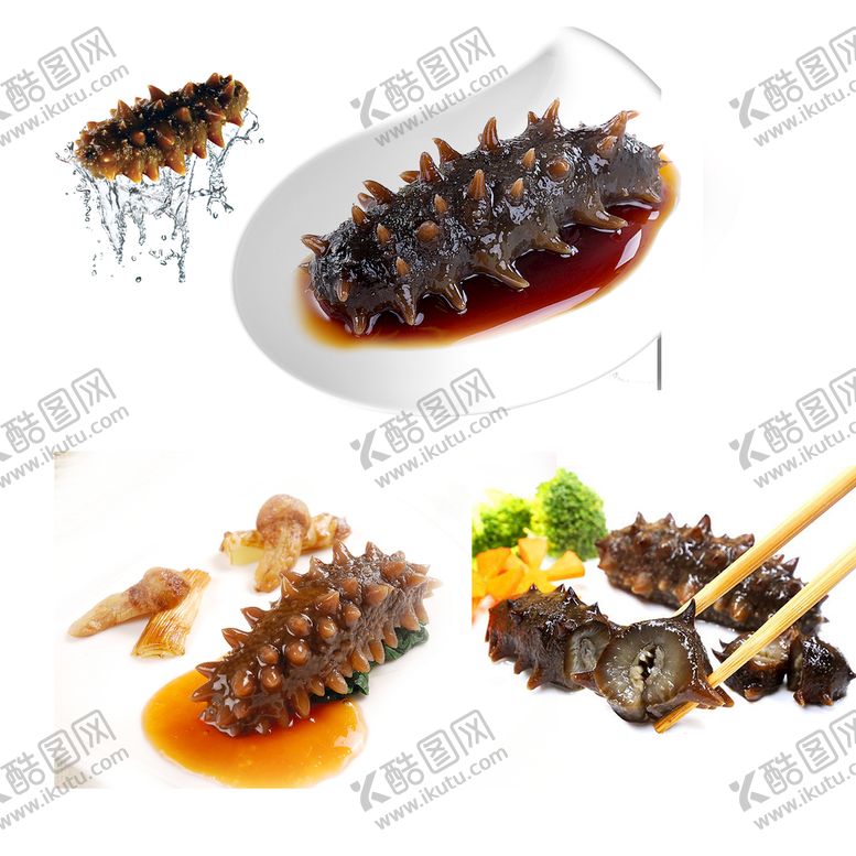 编号：04235609200738561462【酷图网】源文件下载-海参