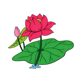 荷花素材夏至背景中国风夏天海报