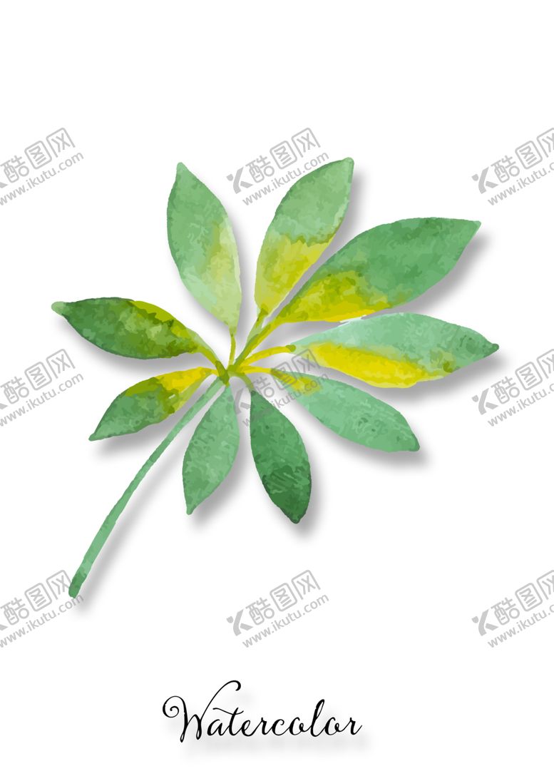 编号：25407910120102525376【酷图网】源文件下载-植物装饰画图片