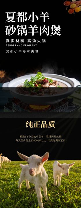 羊肉详情