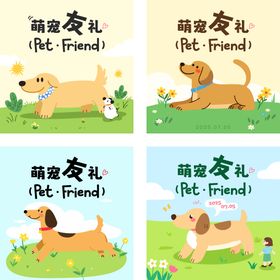 领养宠物活动宣传