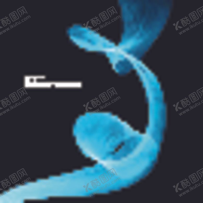 编号：78353910310545403793【酷图网】源文件下载-华丽抽象波纹背景