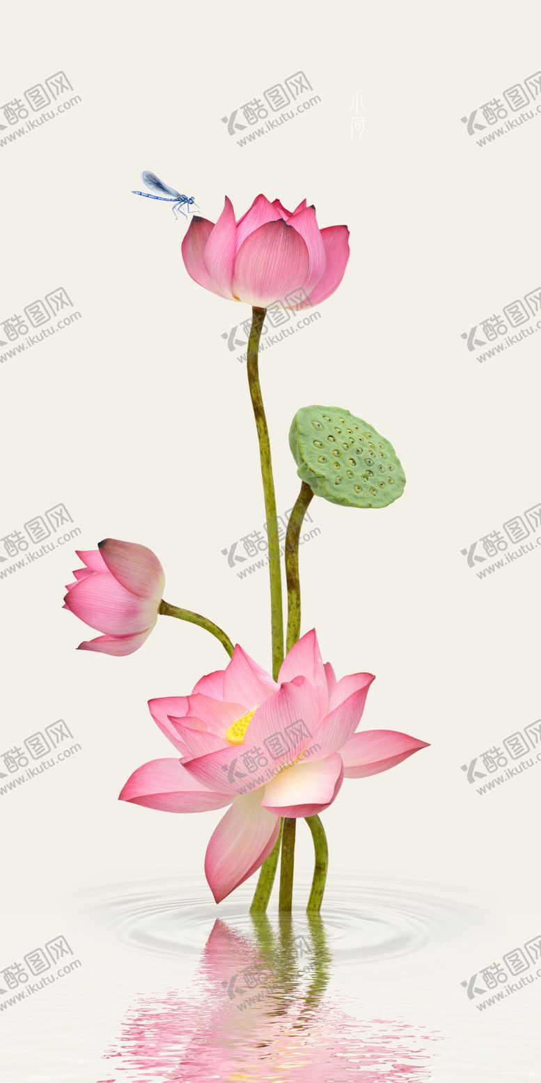 编号：66822003011712433689【酷图网】源文件下载-荷花玄关
