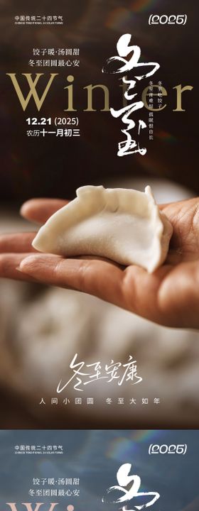 冬至节气饺子海报