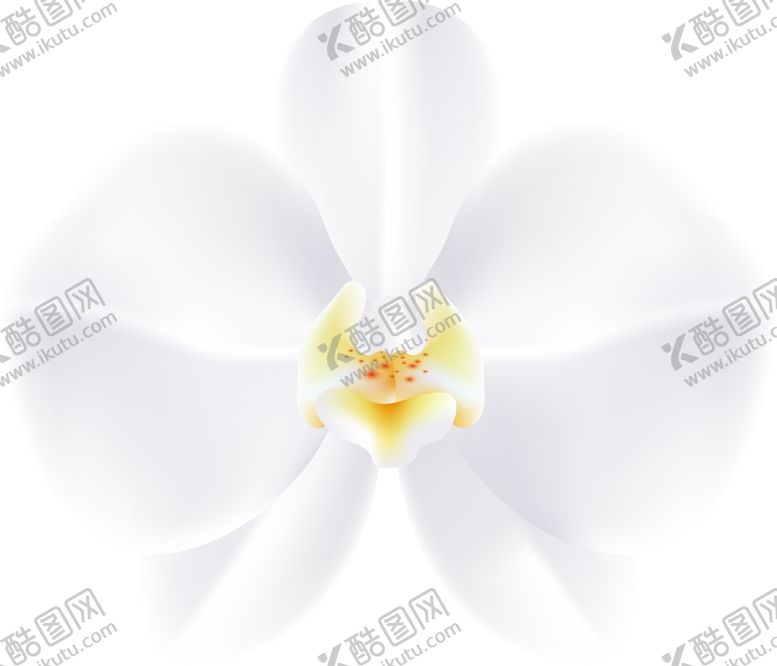 编号：60495809300142181234【酷图网】源文件下载-写实花卉