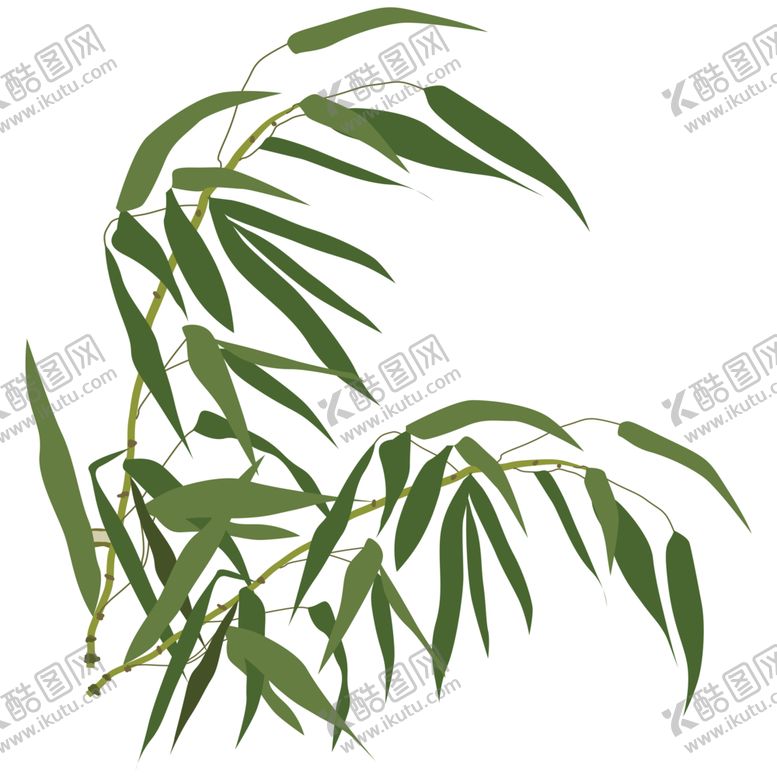 编号：22918910162320125031【酷图网】源文件下载-竹子竹叶
