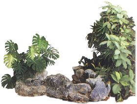 假山奇石