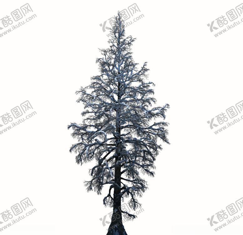 编号：58086010221324045318【酷图网】源文件下载-树林