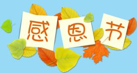 感恩节