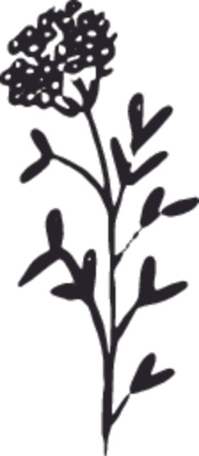 手绘花卉元素