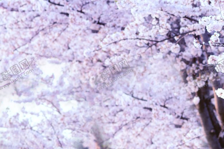 编号：28806409241946384981【酷图网】源文件下载-One花筒素材铺