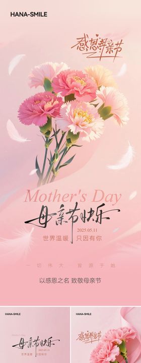 母亲节康乃馨系列