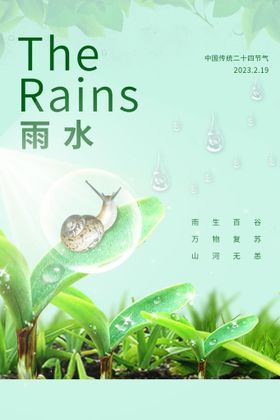 雨水节气稿