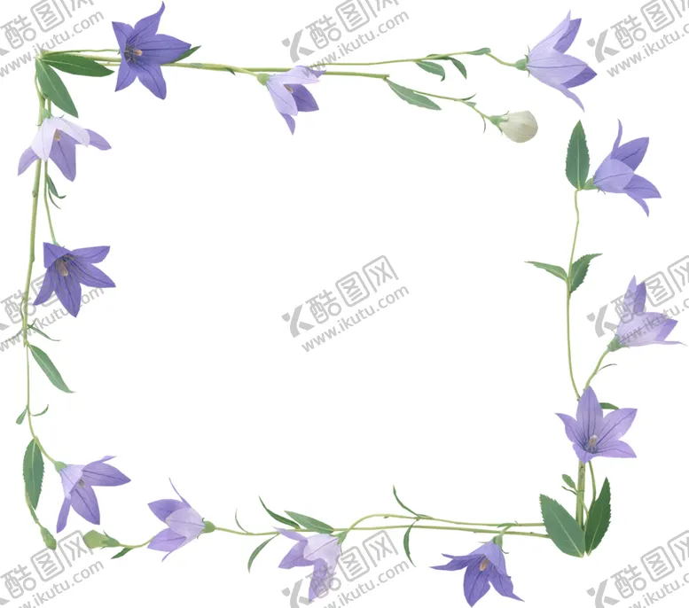 编号：40866905060106569187【酷图网】源文件下载-风铃草