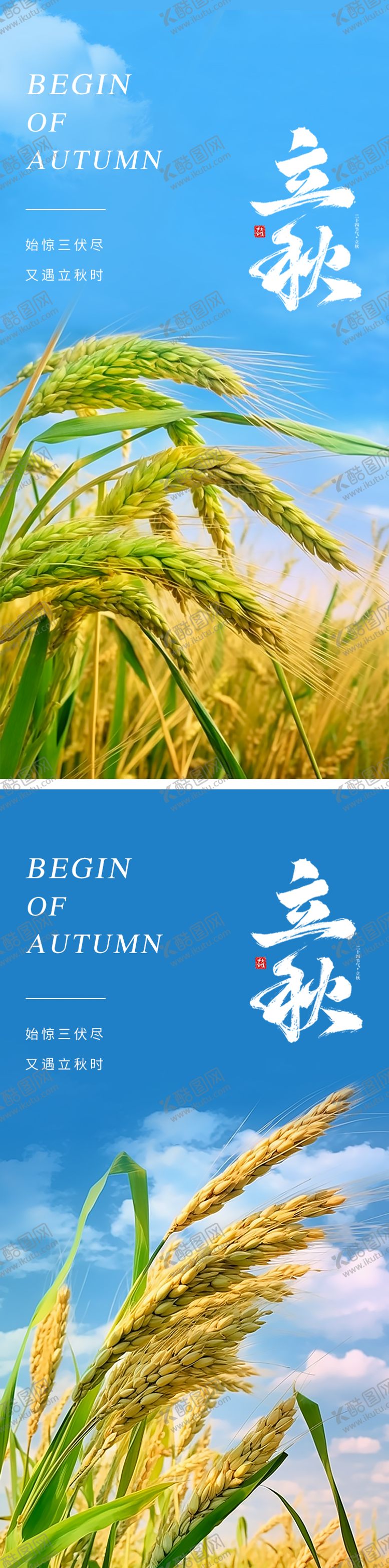 编号：41806611210524469053【酷图网】源文件下载-24节气立秋小麦海报