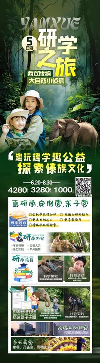 研学设计西双版纳云南海报