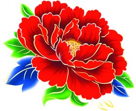 牡丹花