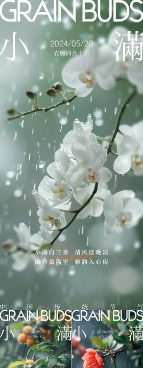 小满节气风景简约海报