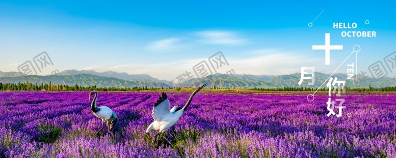编号：51331509191106402508【酷图网】源文件下载-十月你好