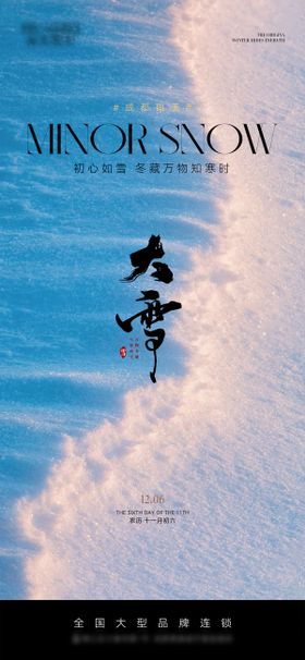 医美大雪节气海报