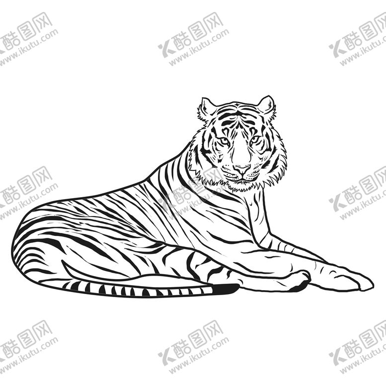 编号：26817309140522458125【酷图网】源文件下载- 线稿老虎