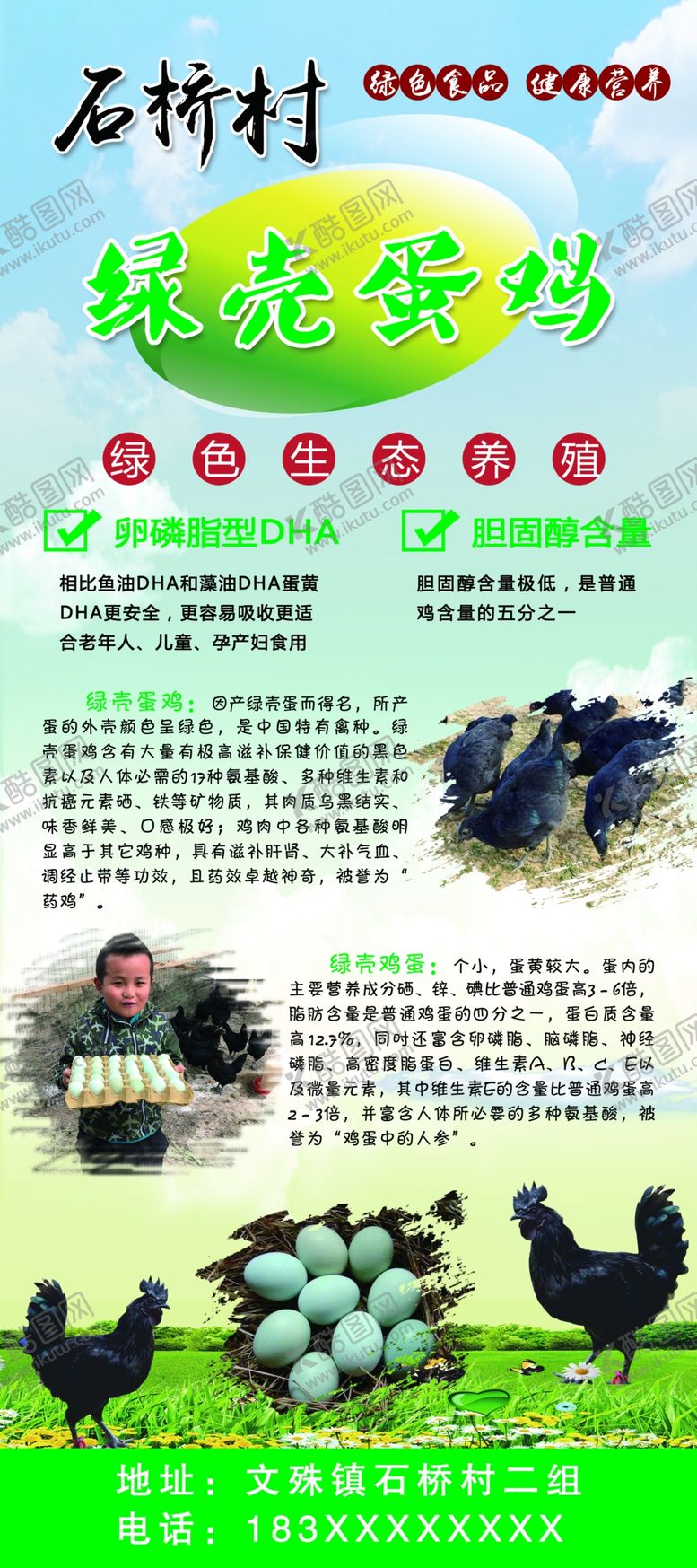 编号：73801209210054261870【酷图网】源文件下载-绿壳鸡蛋