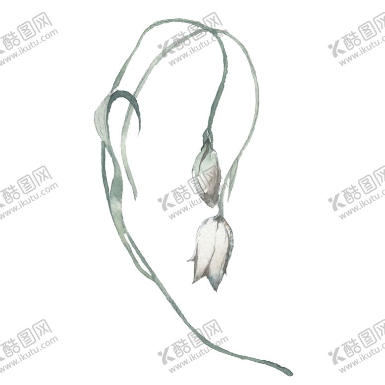编号：86505409201343186133【酷图网】源文件下载-小清新水彩植物树枝