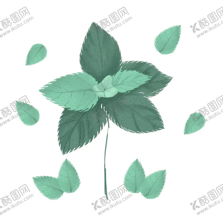 编号：36427007041329294457【酷图网】源文件下载-薄荷植物元素